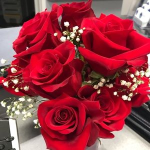 Meet your Posher, Nikki